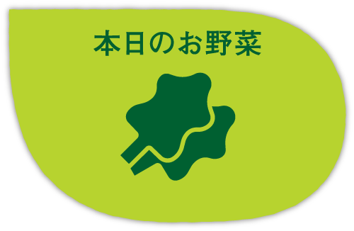 本日のお野菜