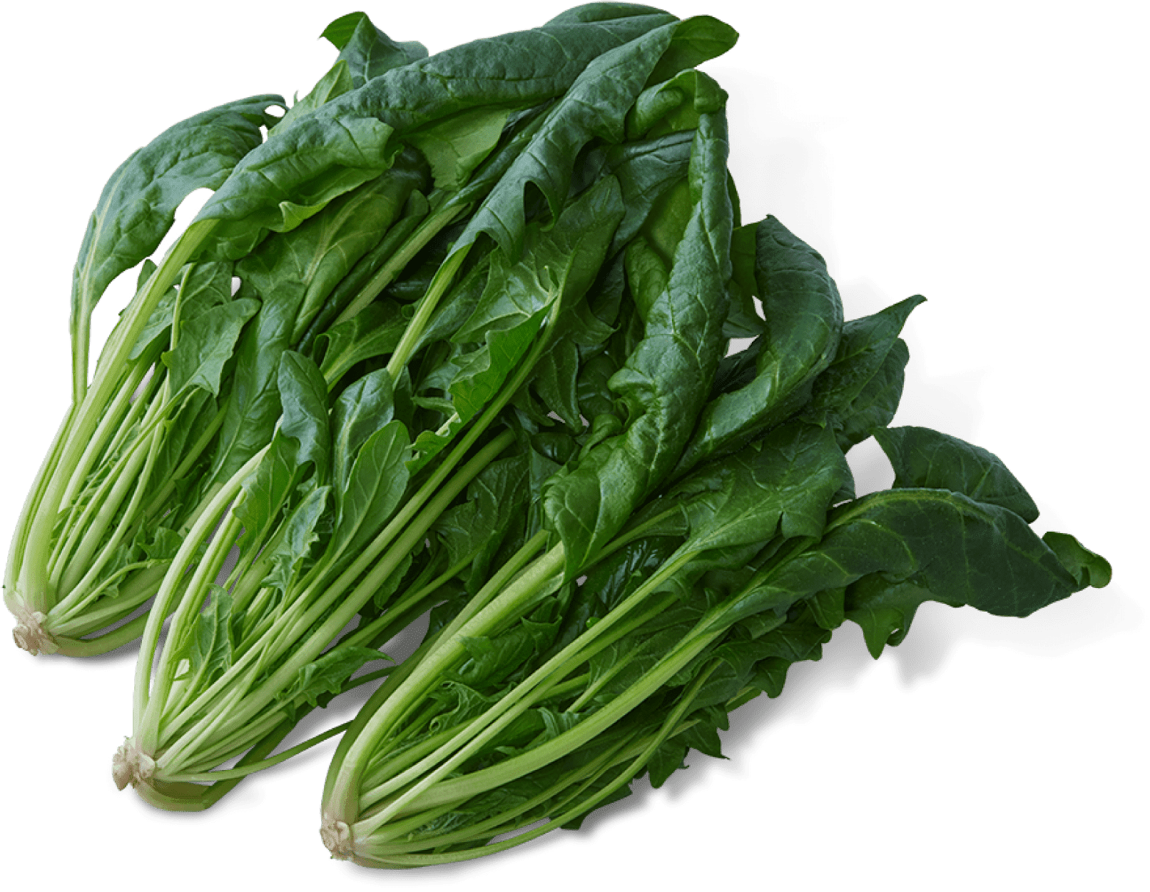SALAD SPINACH